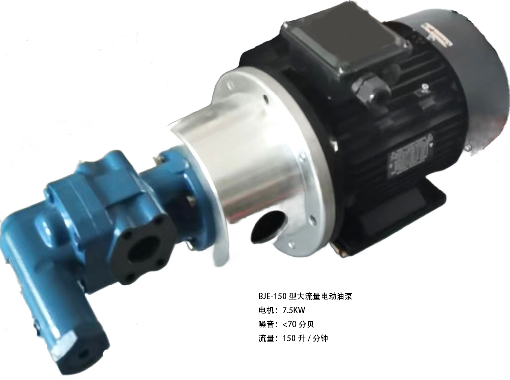 <b>大流量齿轮泵</b>