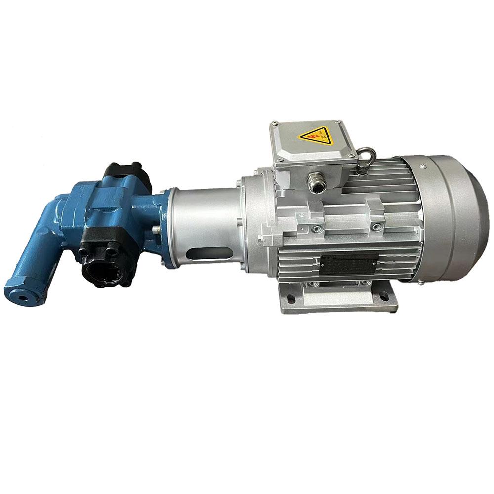 <b>电动齿轮泵</b>